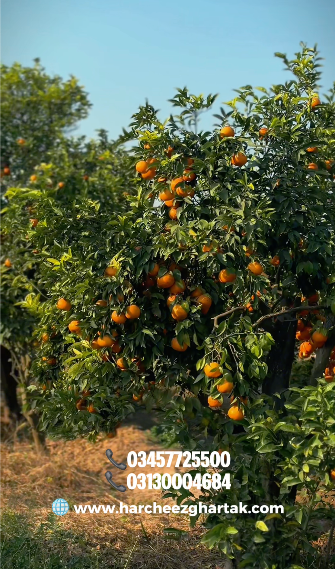 Translation missing: en.sections.video.load_video